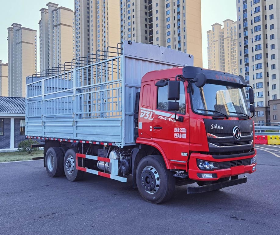 DFV5253CCYGP6DT2型仓栅式运输车