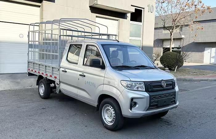 DXK5030CCYC43HL型仓栅式运输车