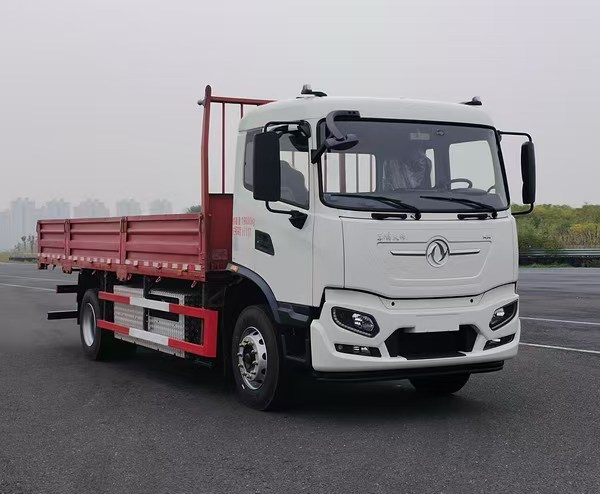 DFH1180EEV13型纯电动载货汽车jpg