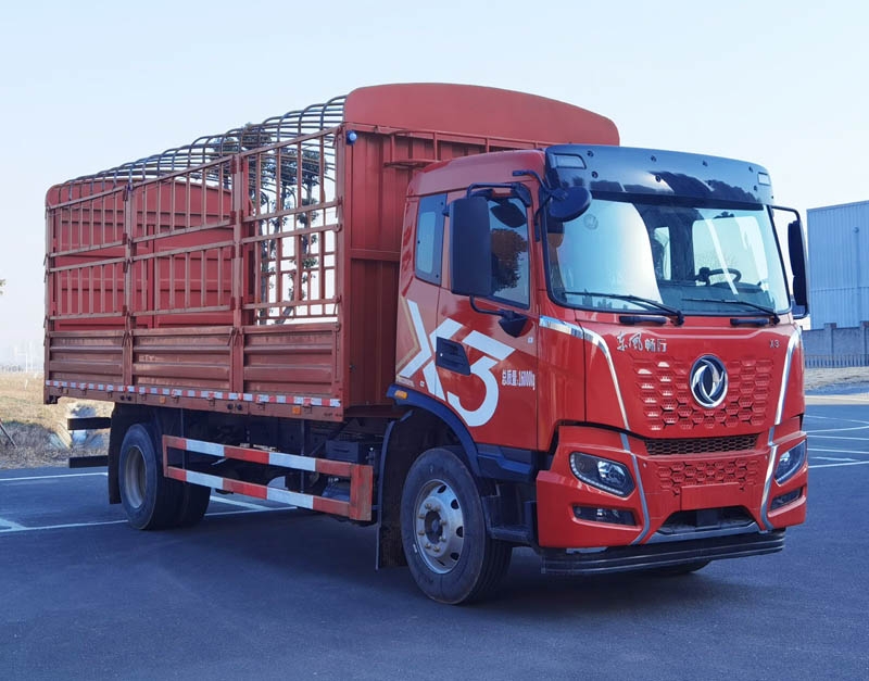 DFV5163CCYGP6D1型仓栅式运输车