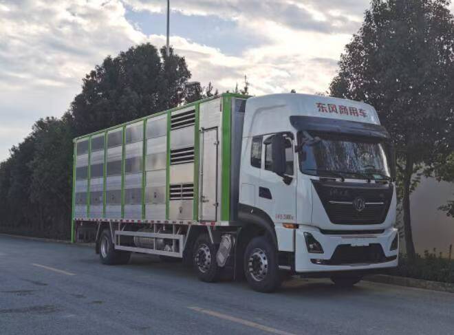 YG5250CCQD5型畜禽运输车