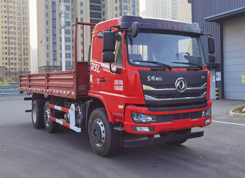 DFV1253GP6DT2型载货汽车jpg