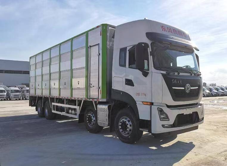 YG5310CCQD6型畜禽运输车